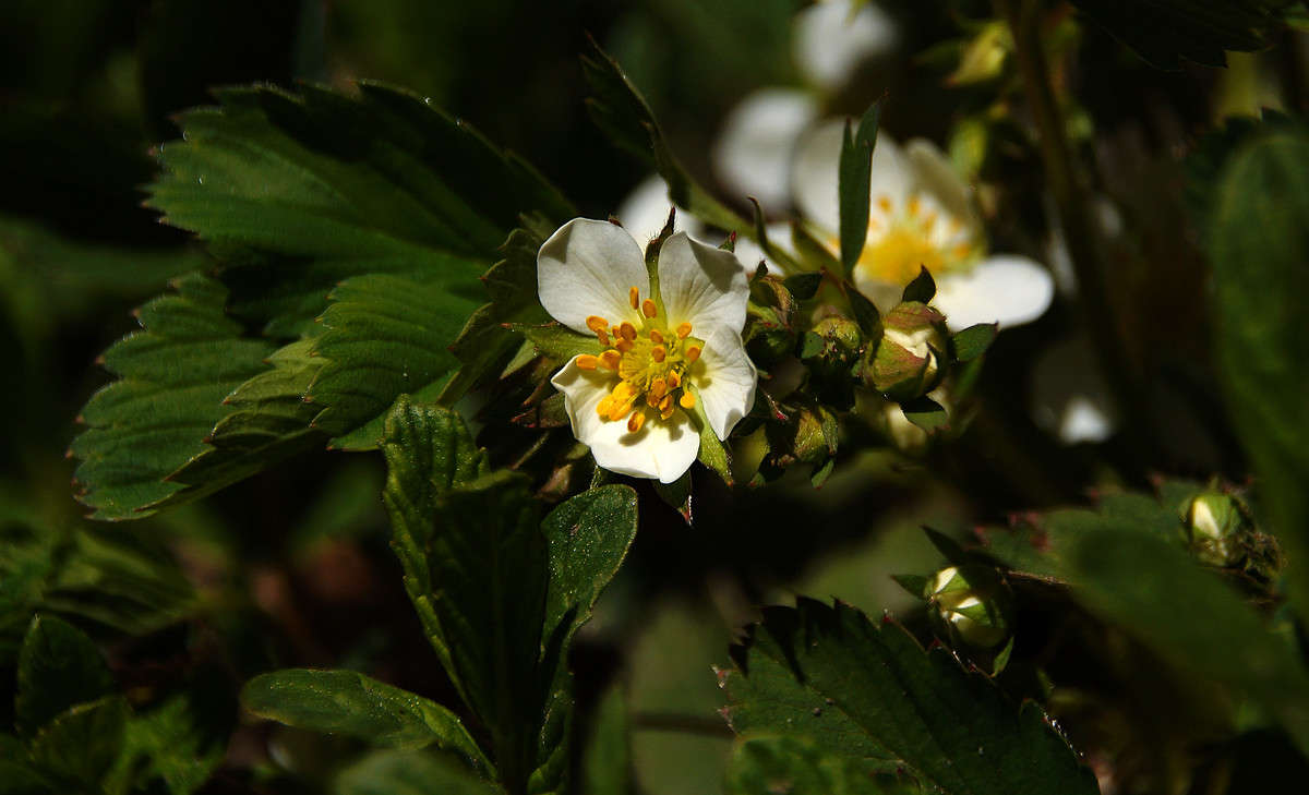 ����� ������ ����� ����� �������  �� PhotoGeek.ru #������ ��� �������