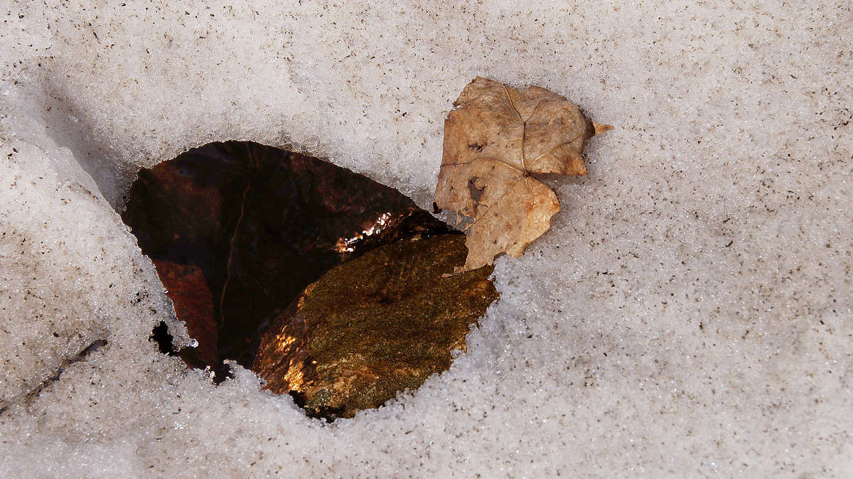 ��������� ��� ����� �������  �� PhotoGeek.ru #������ ��� �������