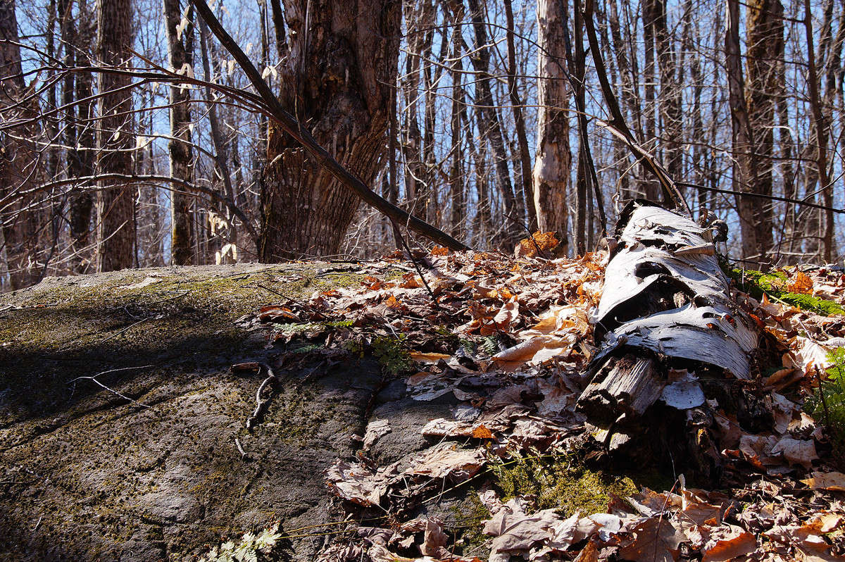 ����� ��������� ����� �������  �� PhotoGeek.ru #������ ��� �������