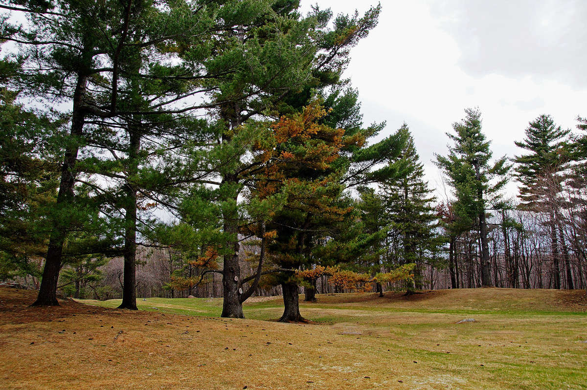 ��������� ������� ����� �������  �� PhotoGeek.ru #������ ��� �������