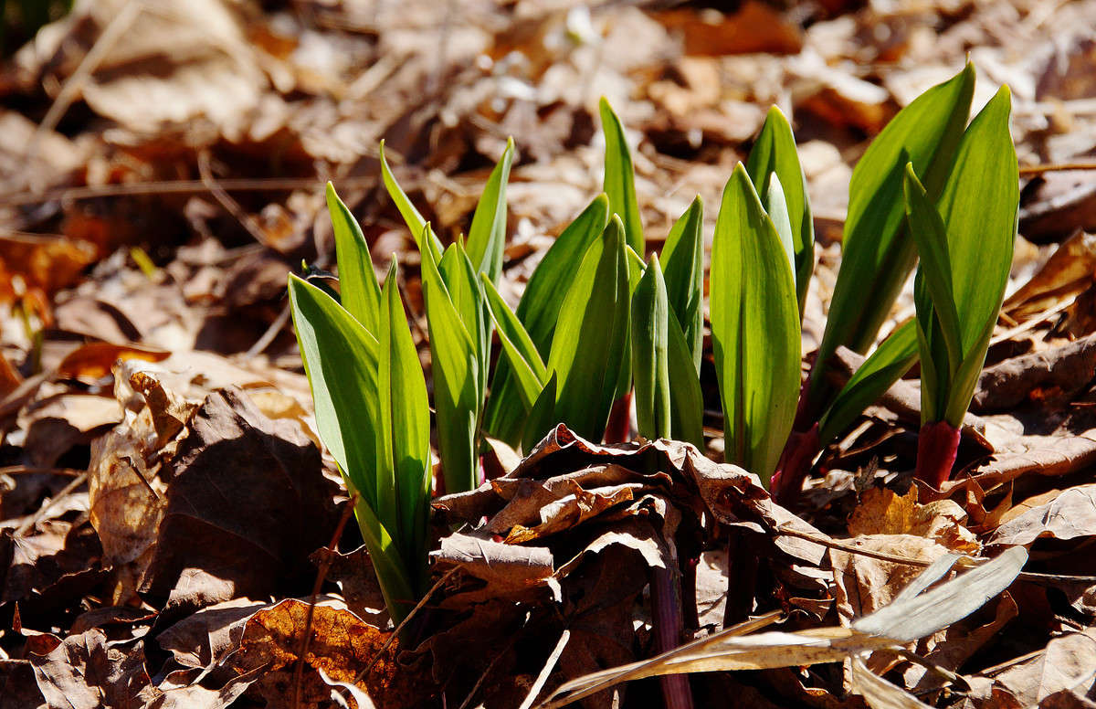 ��� � ��� ���� ������ ������ ����� �������  �� PhotoGeek.ru #������ ��� �������