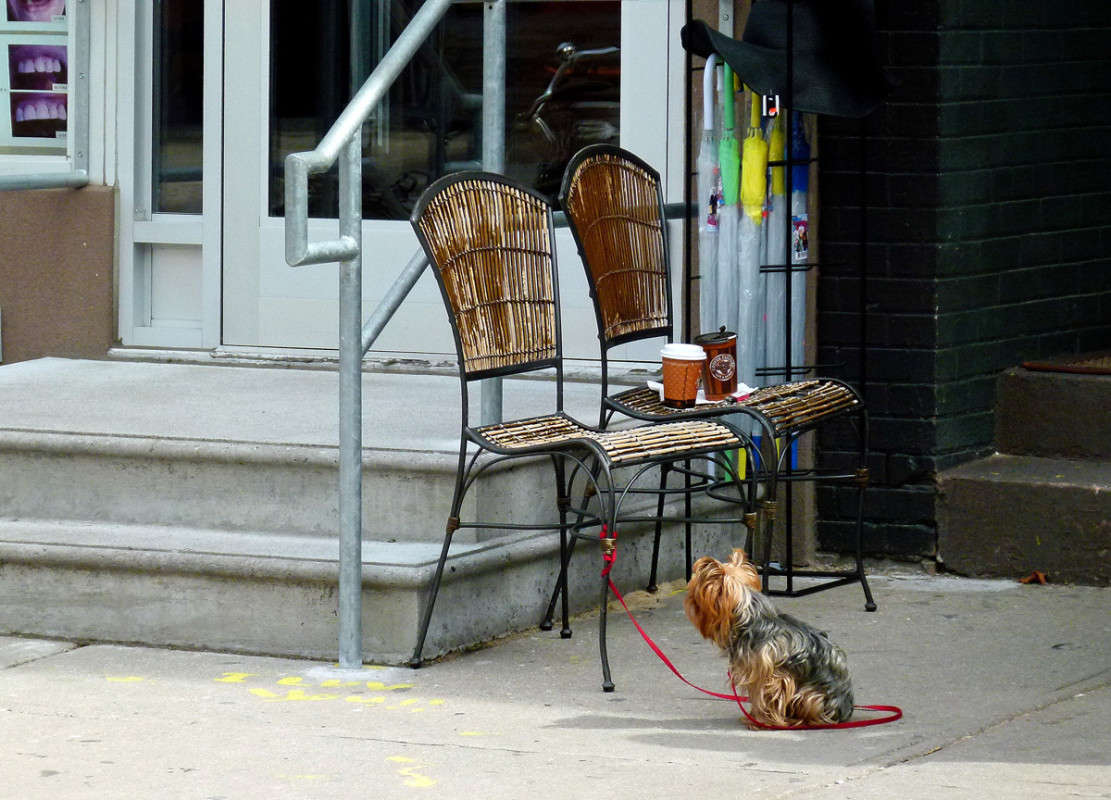 ���, ���� ��� �� ����! ����� �������  �� PhotoGeek.ru #�������� ����������