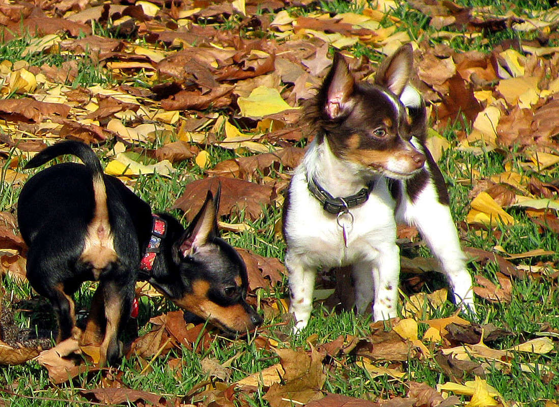 �����-������ ����� �������  �� PhotoGeek.ru #�������� ���