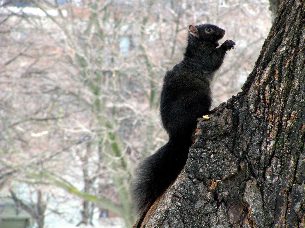 �� ���� ��������� ����� �������  �� PhotoGeek.ru #�������� ���