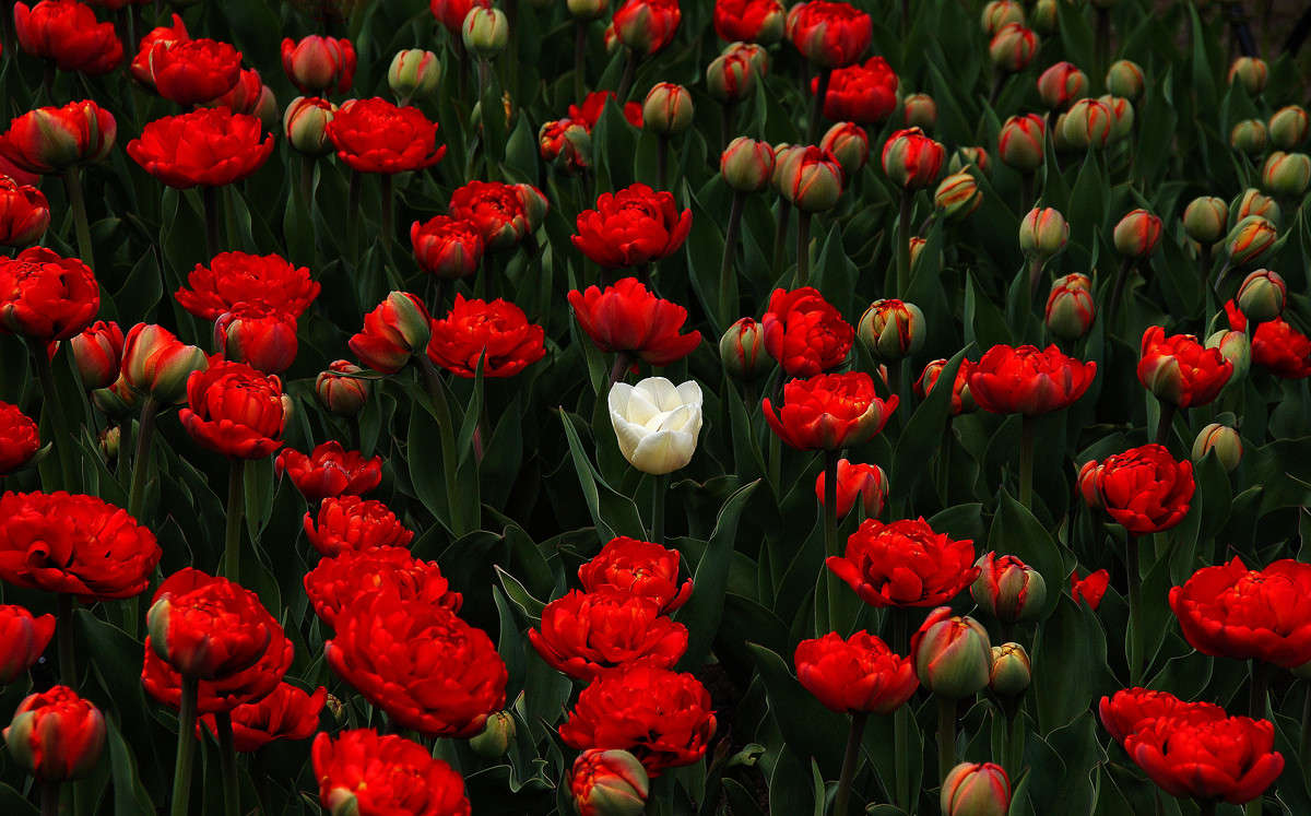 ������ ������ ����� �������  �� PhotoGeek.ru #������ ��� �������