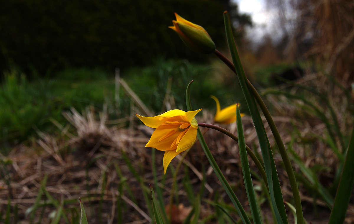 ������ ����� �������  �� PhotoGeek.ru #������ ��� �������