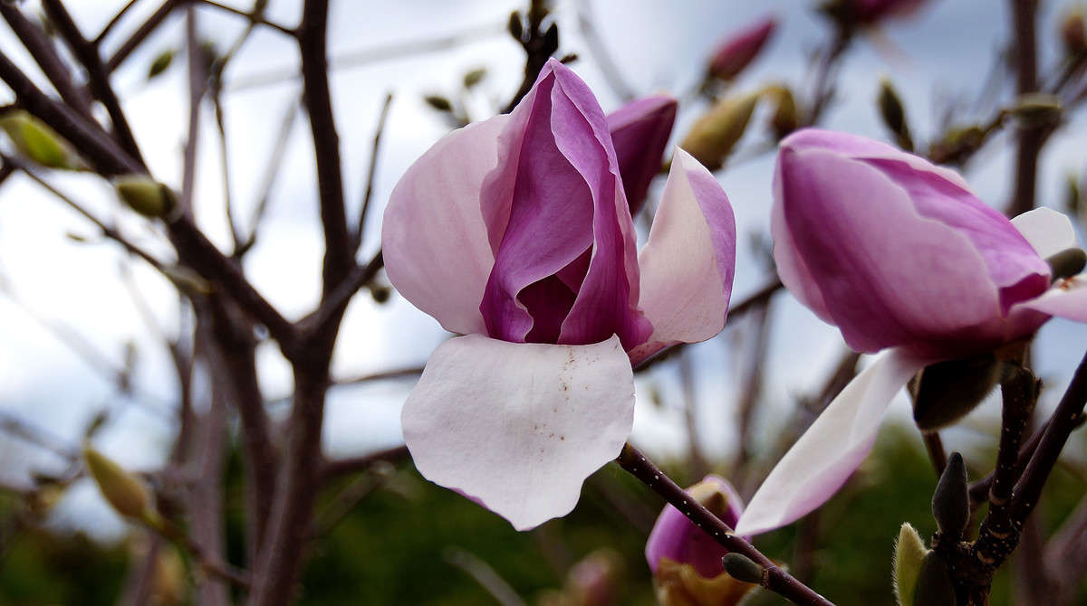 ������� ����� �������  �� PhotoGeek.ru #������ ��� �������