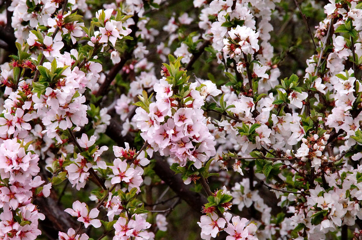 �������� �������� ����� �������  �� PhotoGeek.ru #������ ��� �������