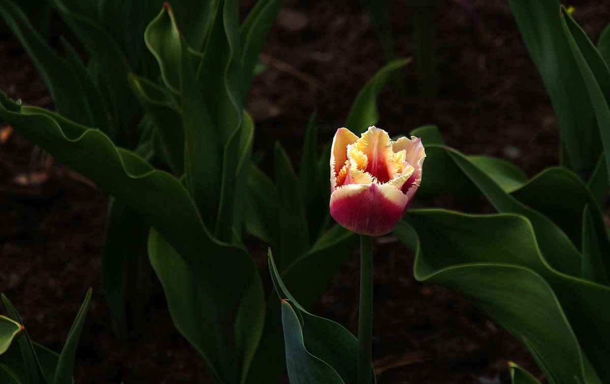 ��� ������ ����� ����� ����� �������  �� PhotoGeek.ru #������ ��� �������