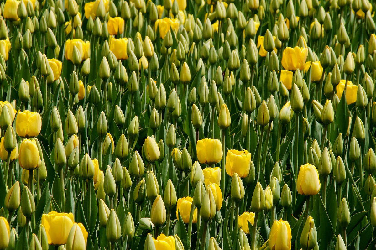 ���������� ����� �������  �� PhotoGeek.ru #������ ��� �������