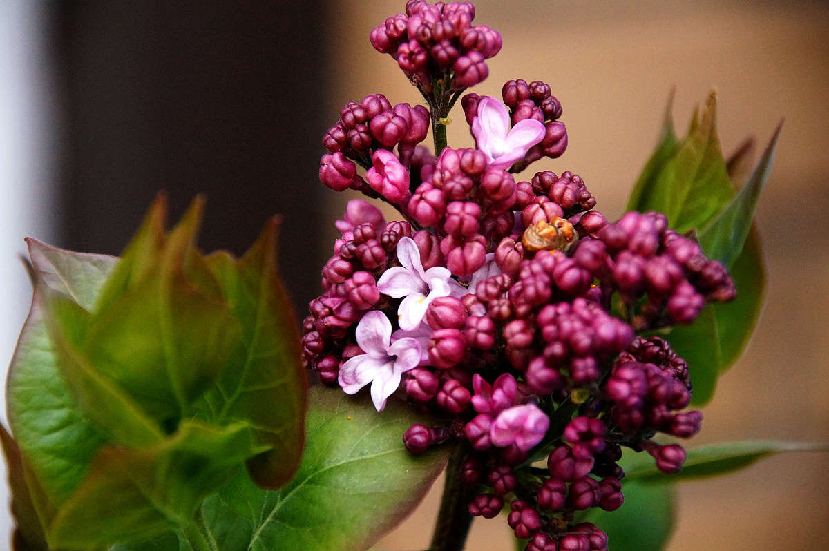 ������ ����� �������  �� PhotoGeek.ru #������ ��� �������