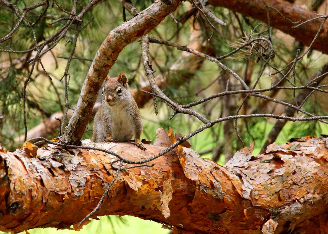 ��������� ����� �������  �� PhotoGeek.ru #�������� ���