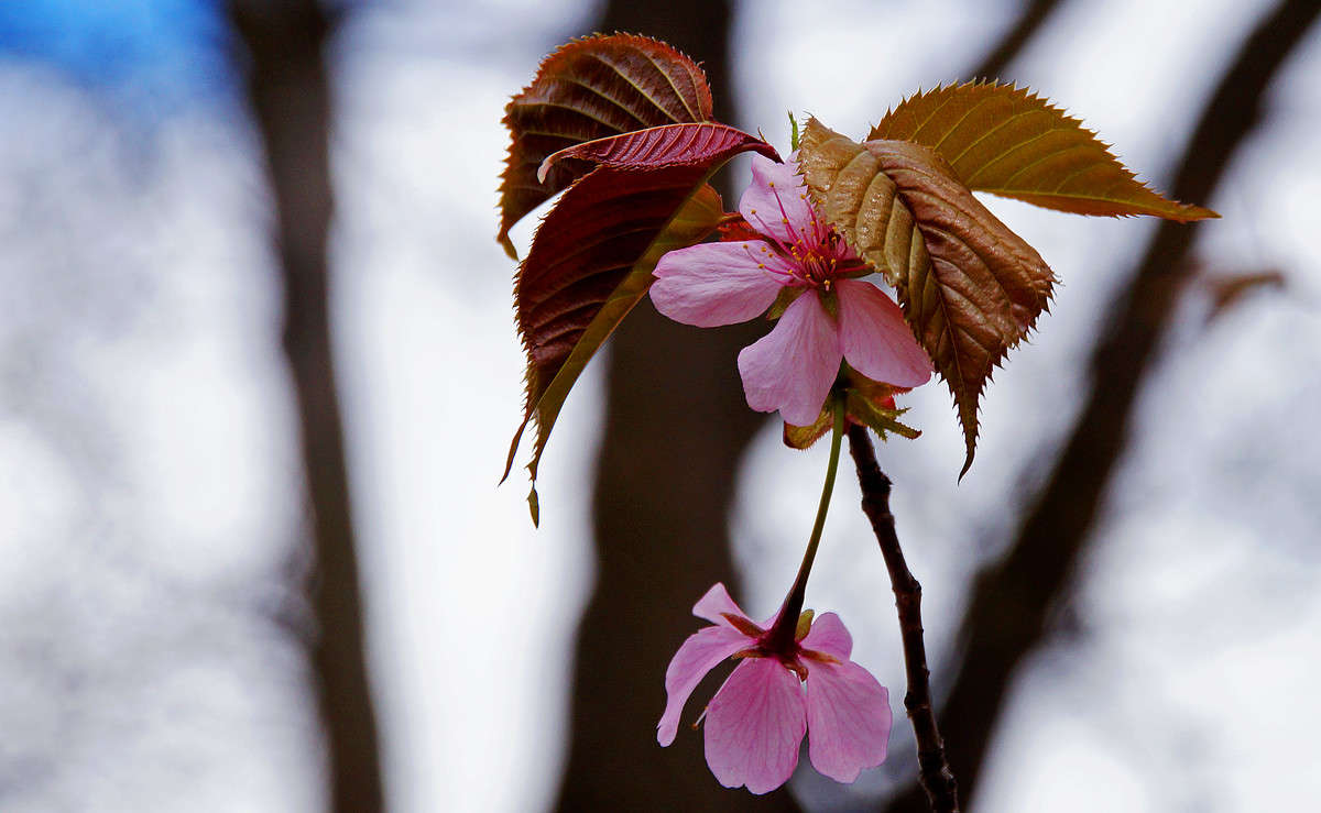 ��������� ����� �������  �� PhotoGeek.ru #������ ��� �������