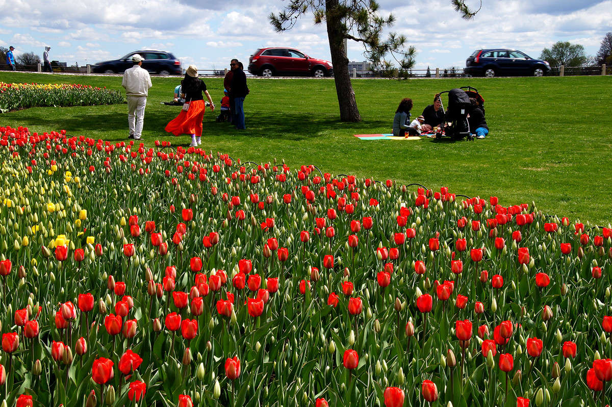 ��� � ������ ���� ���! ����� �������  �� PhotoGeek.ru #�������� ����������