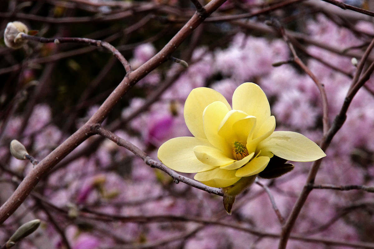 �� ������� ���� ����� �������  �� PhotoGeek.ru #������ ��� �������