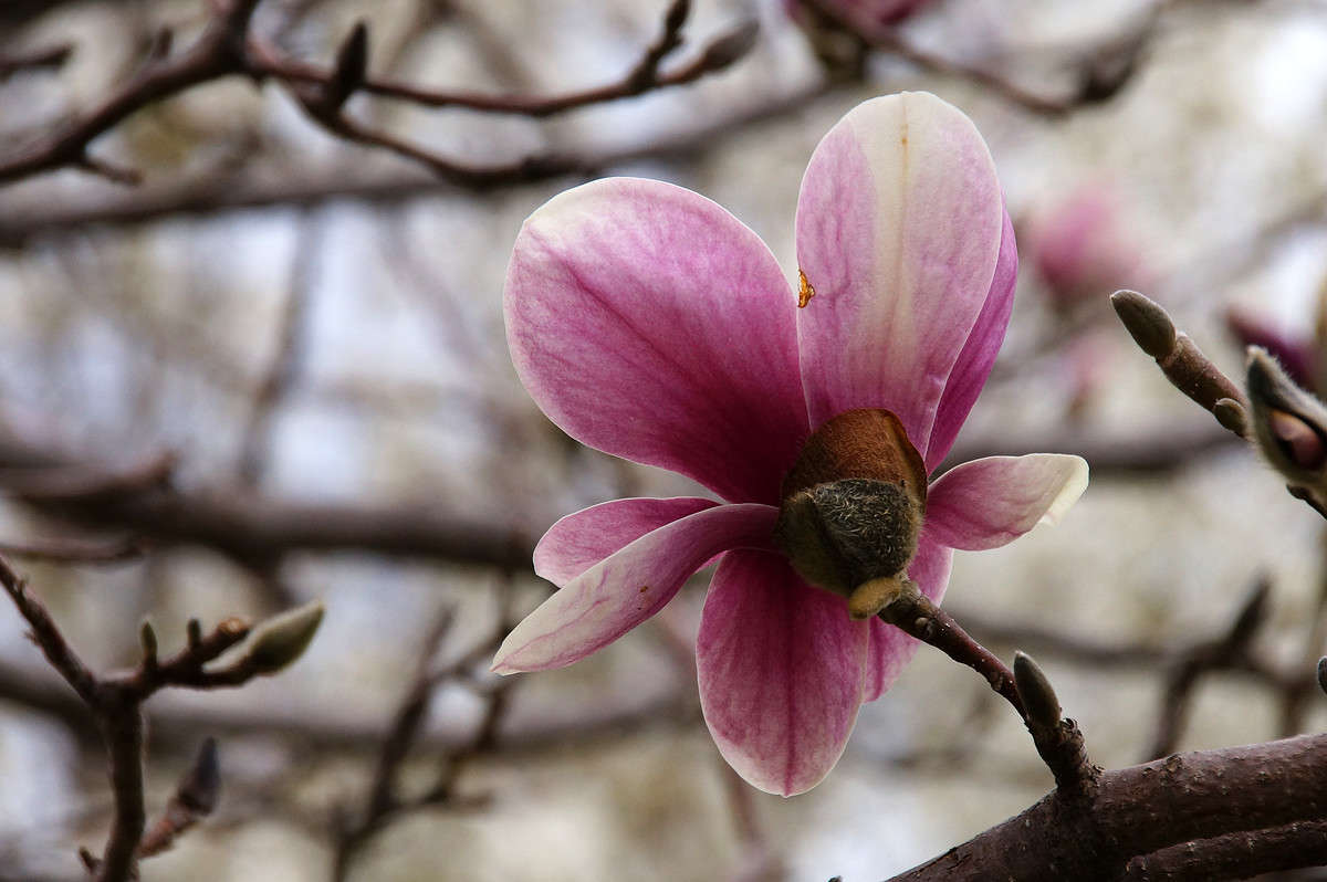 � ����� ���� ����� �������  �� PhotoGeek.ru #������ ��� �������