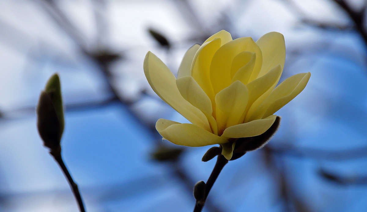 ����������� ����� �������  �� PhotoGeek.ru #������ ��� �������