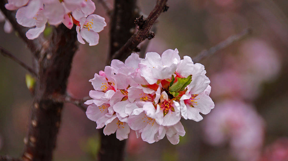 ���� ����� �������  �� PhotoGeek.ru #������ ��� �������