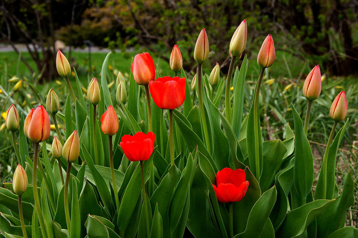 ��� ������ ������ ����� �������  �� PhotoGeek.ru #������ ��� �������