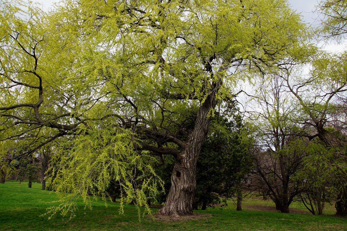 ����� ����� ����� �������  �� PhotoGeek.ru #������ ��� �������