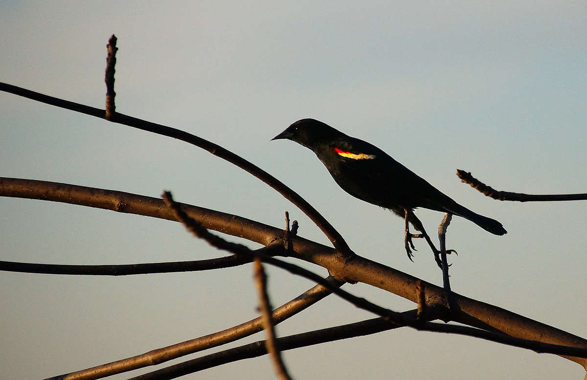 ������� ����� �������  �� PhotoGeek.ru #�������� ���