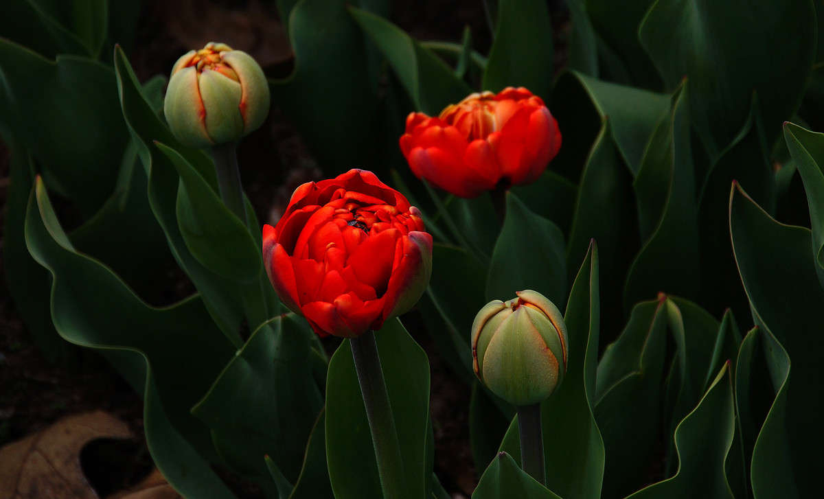 ����� ������ ������ ����� �������  �� PhotoGeek.ru #������ ��� �������