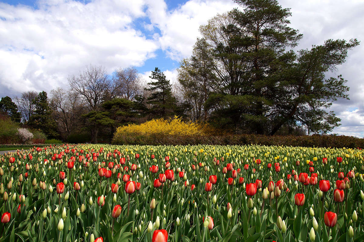 ������ ������������ ����� �������  �� PhotoGeek.ru #������ ��� �������