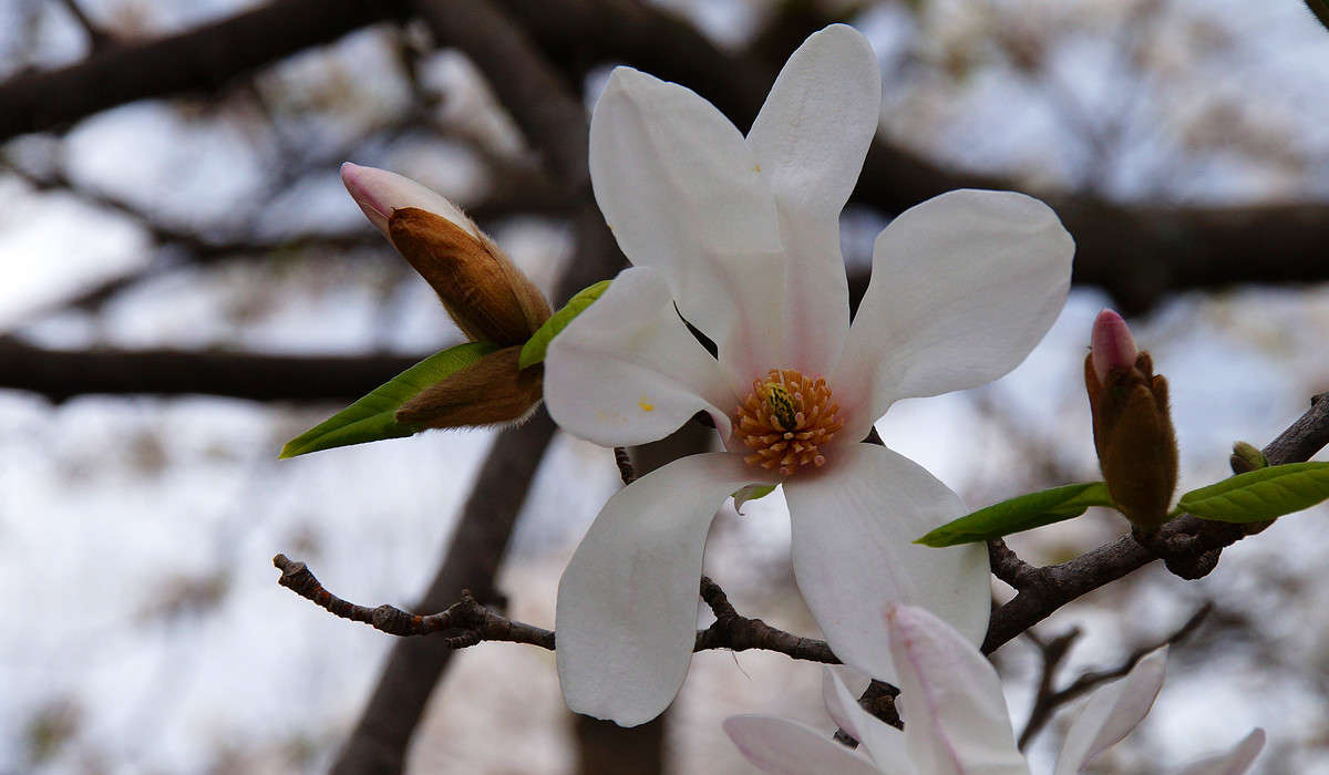 ���� � ������ ����� �������  �� PhotoGeek.ru #������ ��� �������