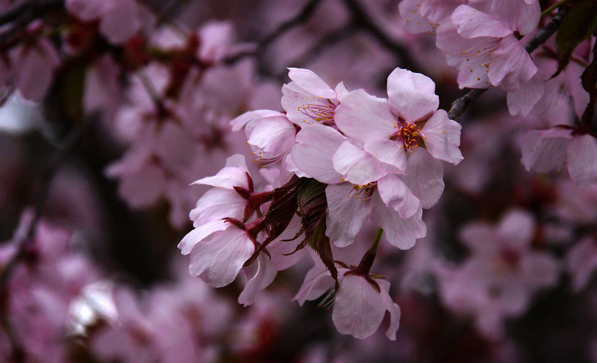 �������������� ����� �������  �� PhotoGeek.ru #������ ��� �������