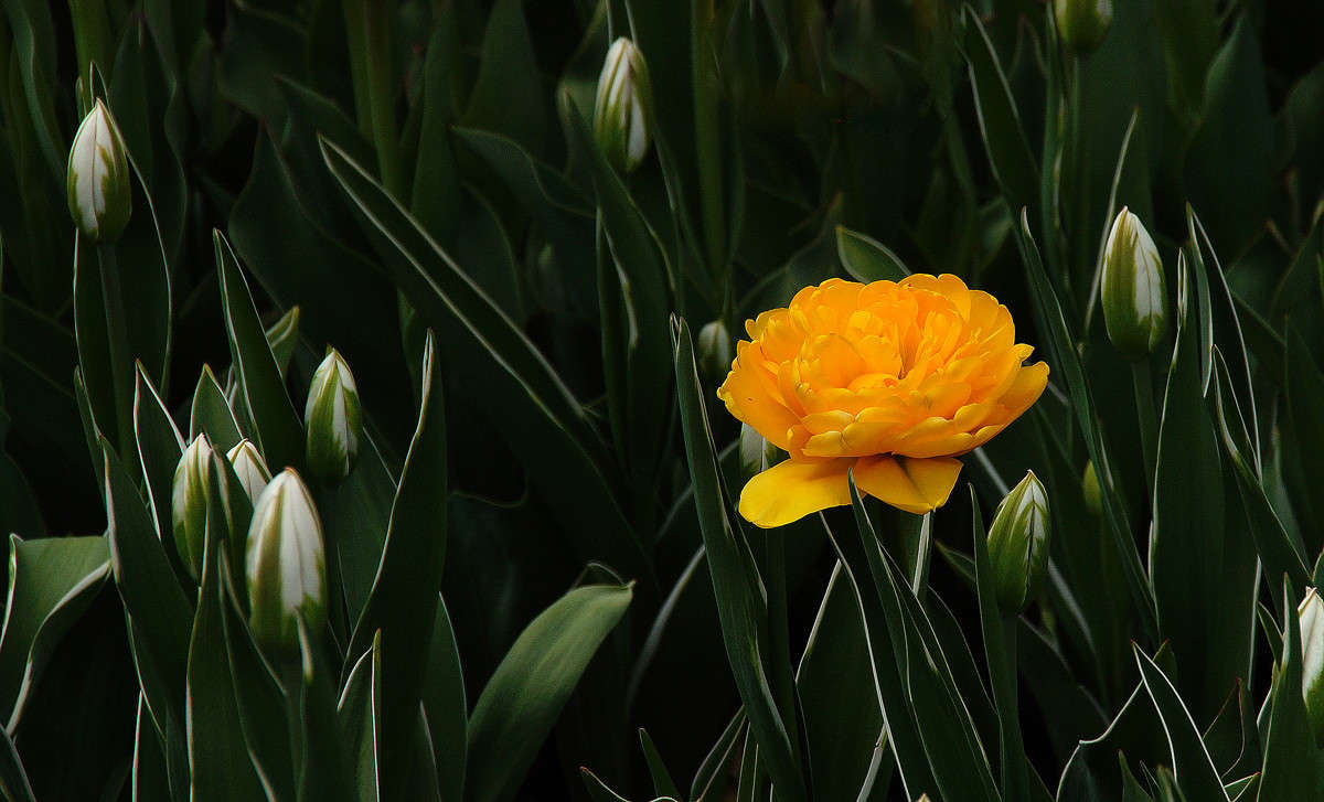 �������� ����� �������  �� PhotoGeek.ru #������ ��� �������