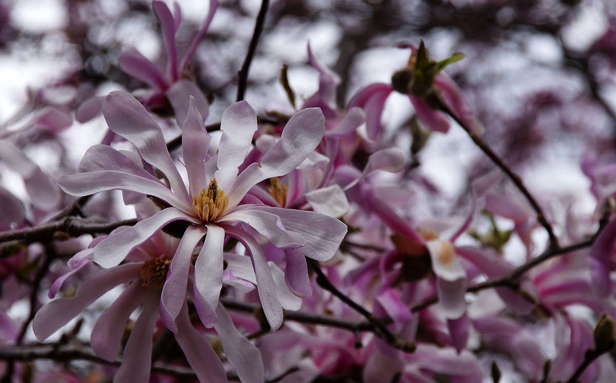 �������� ���������� ����� �������  �� PhotoGeek.ru #������ ��� �������