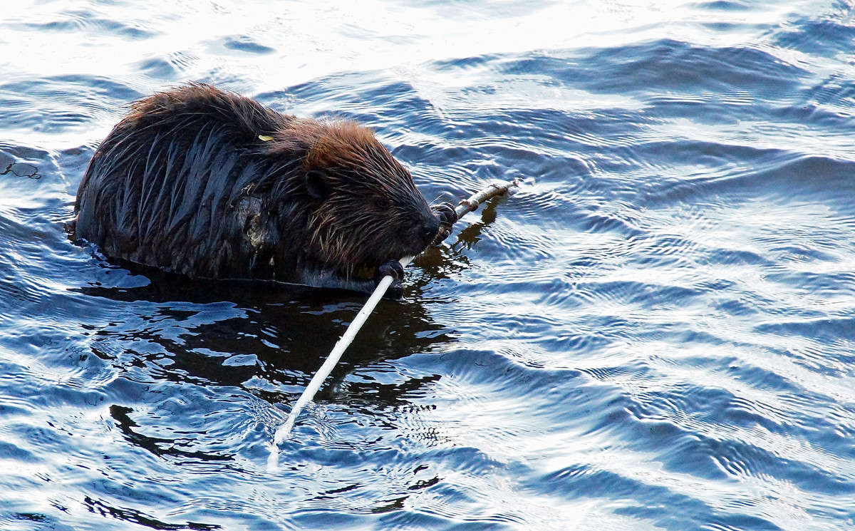 ��������� ��������� ����� �������  �� PhotoGeek.ru #�������� ���