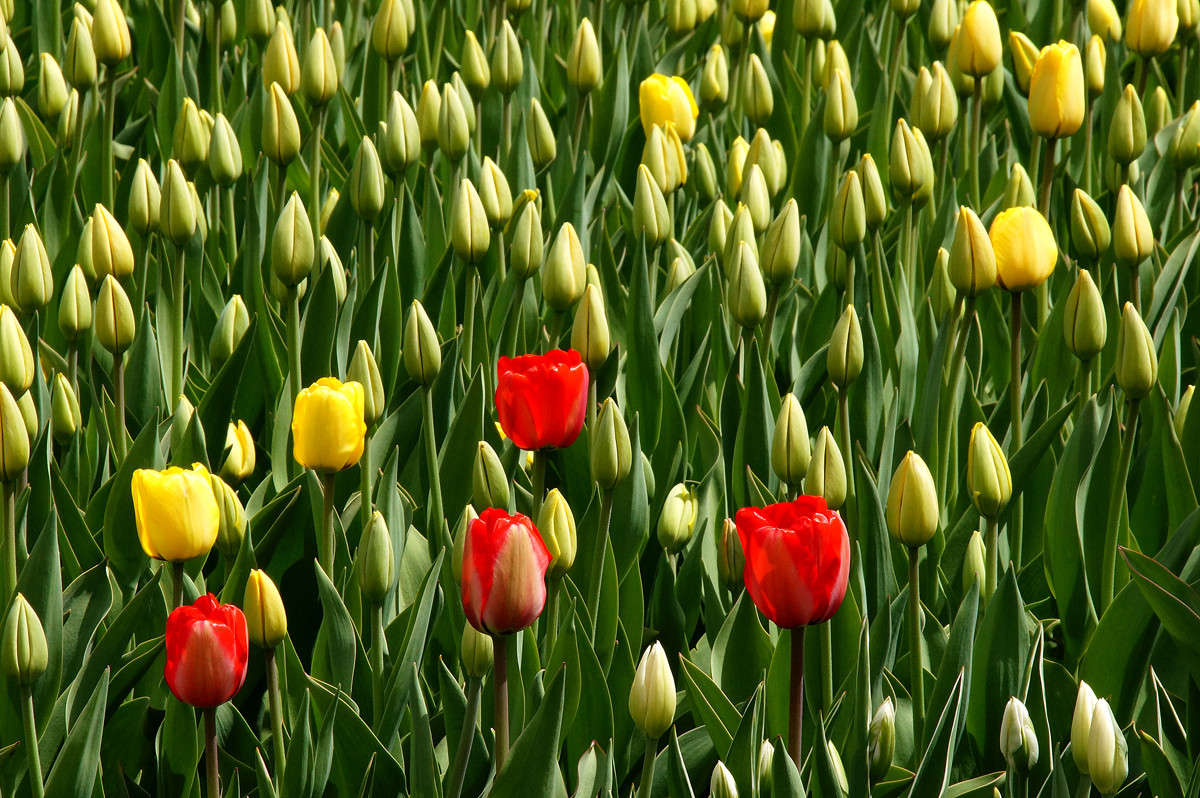 ��� ���������� ��������� ����������� ����� �������  �� PhotoGeek.ru #������ ��� �������