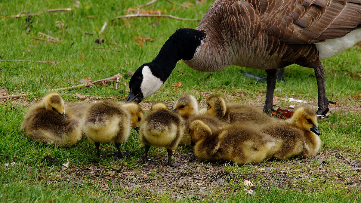 ������. �������. ����� �������  �� PhotoGeek.ru #�������� ���