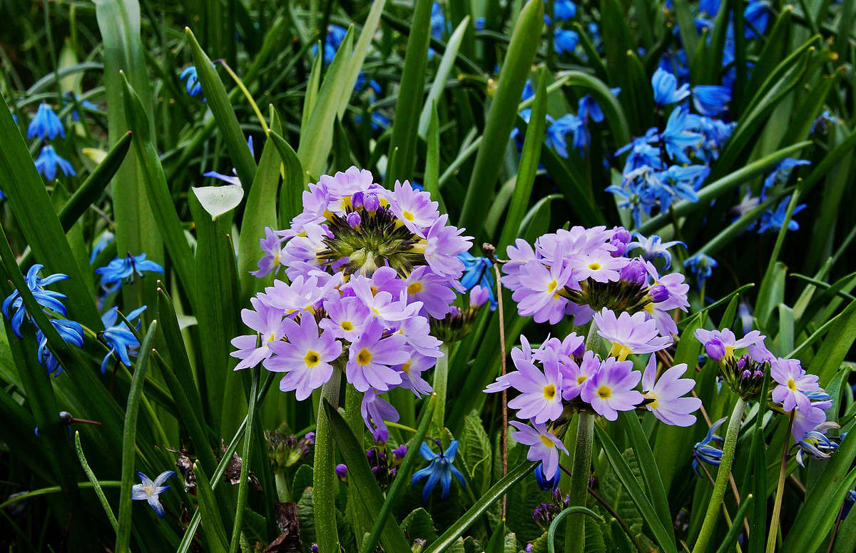 �������� ������������� ����� �������  �� PhotoGeek.ru #������ ��� �������