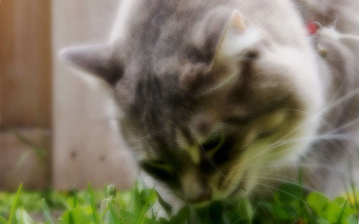 �������� ����� �������  �� PhotoGeek.ru #�������� ���