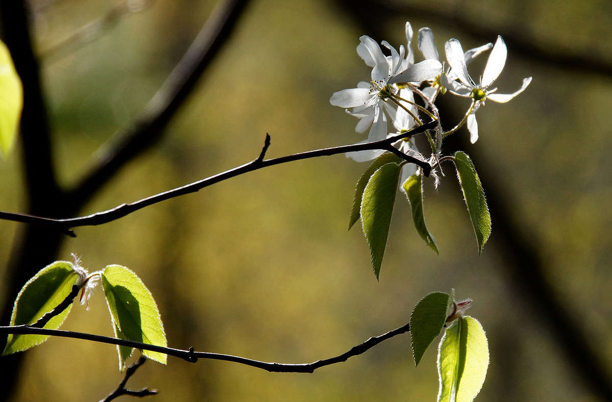 ������������ ����� �������  �� PhotoGeek.ru #������ ��� �������