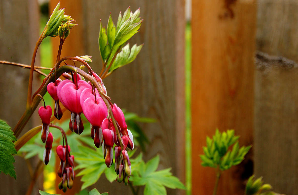 ����� ��� ����� ����� �������  �� PhotoGeek.ru #������ ��� �������