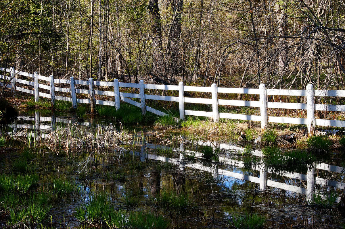 ��� ������. ���. ����� �������  �� PhotoGeek.ru #������ ��� �������