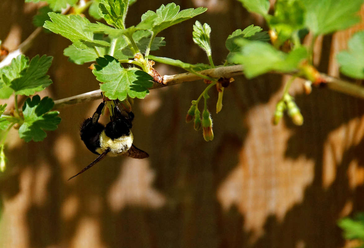 �������� �� ��������� ��� ����� �������  �� PhotoGeek.ru #�������� ���