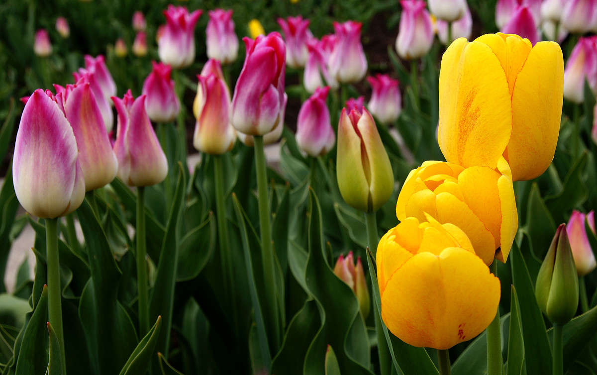 ���������� ����� �������  �� PhotoGeek.ru #������ ��� �������