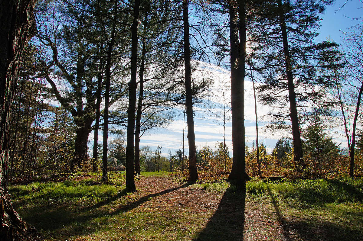 ������� � ���� ����� �������  �� PhotoGeek.ru #������ ��� �������