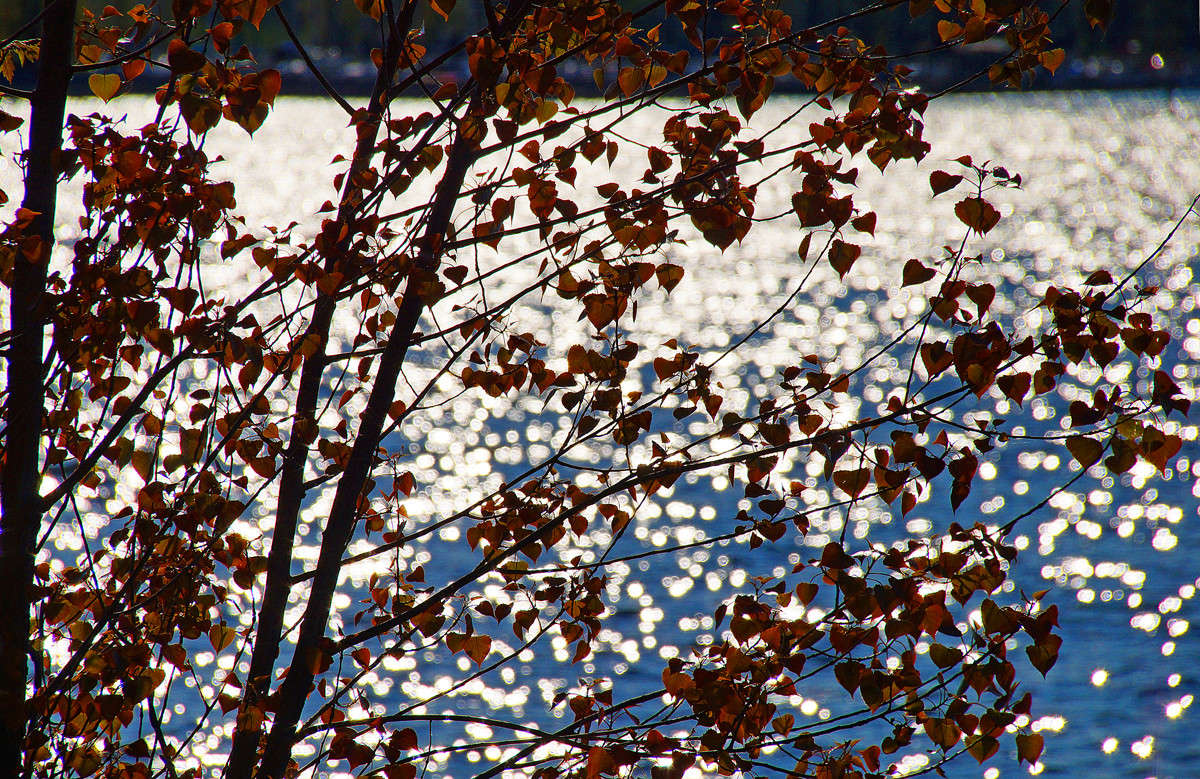 ������ �������� �� ����� ����� �������  �� PhotoGeek.ru #������ ��� �������