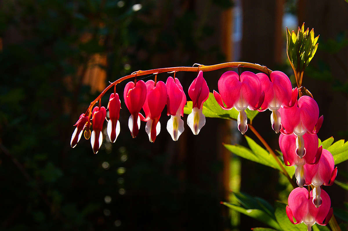 � ����� ������ ����������� �������� ����� �������  �� PhotoGeek.ru #������ ��� �������