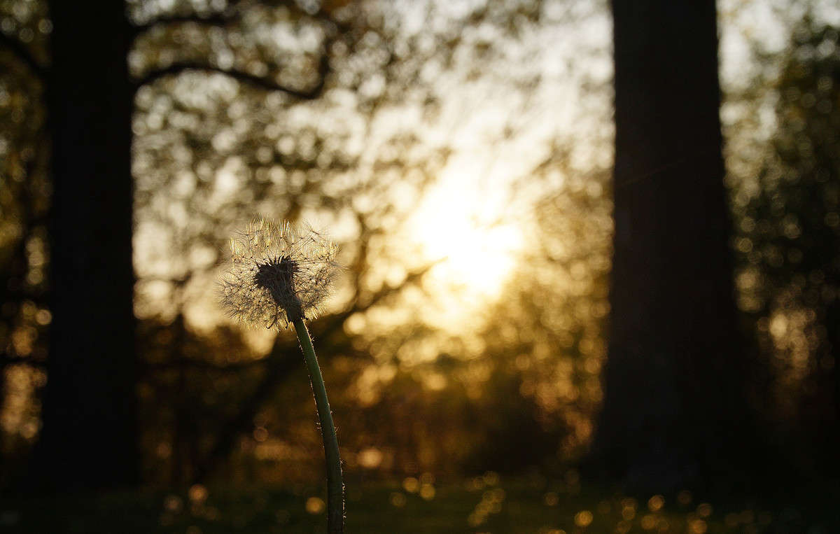 ������ ���� ��� � ����� ����� �������  �� PhotoGeek.ru #������ ��� �������