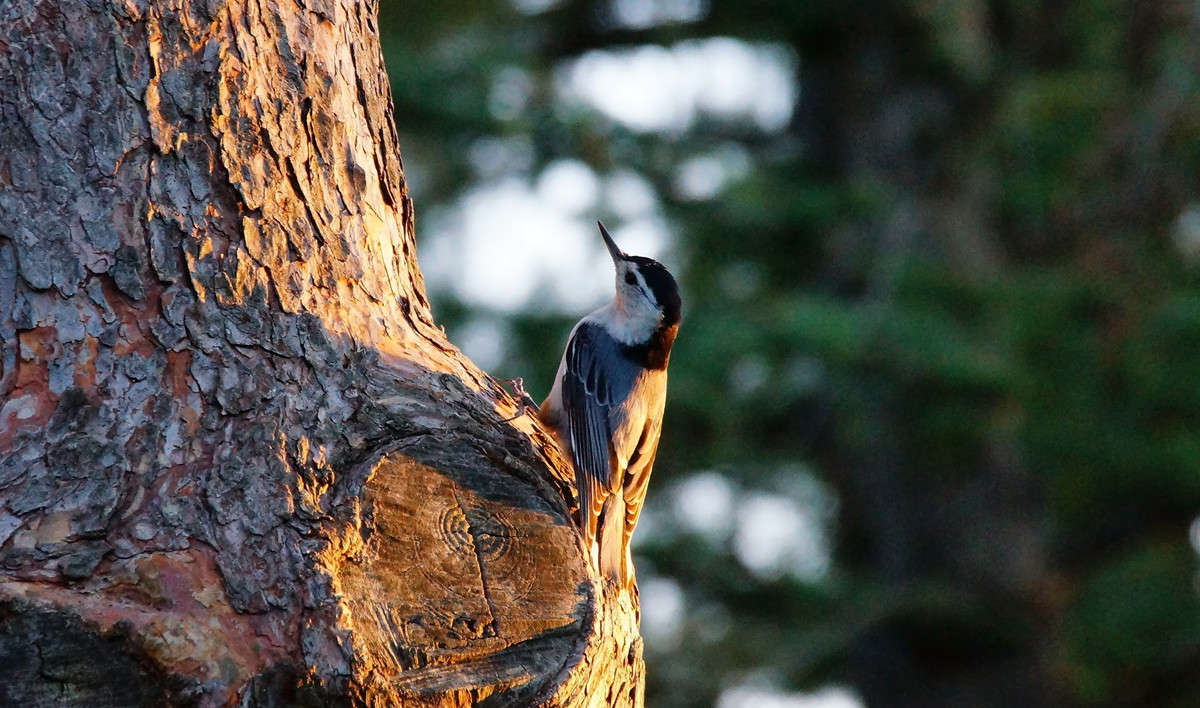 ���� ��������� ����� �������  �� PhotoGeek.ru #�������� ���