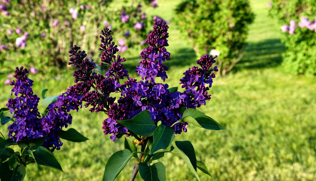 ��������� �������� ����� �������  �� PhotoGeek.ru #������ ��� �������