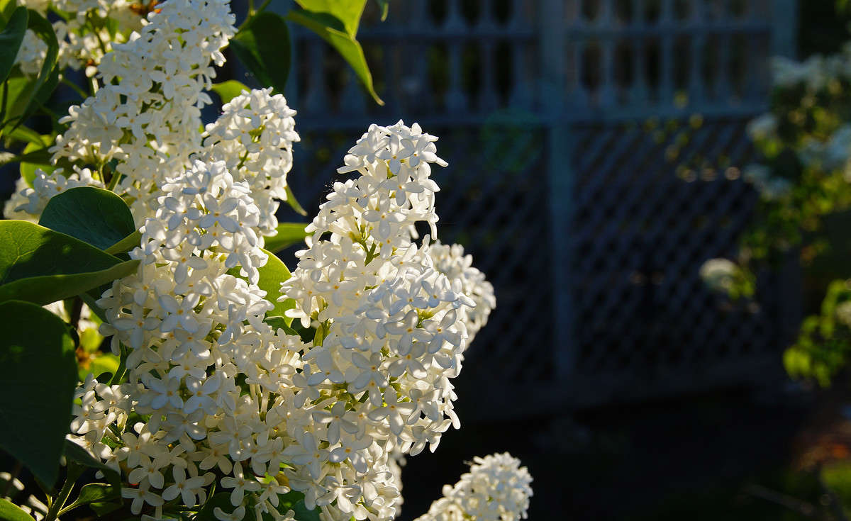 ������� ���� ����� �������  �� PhotoGeek.ru #������ ��� �������