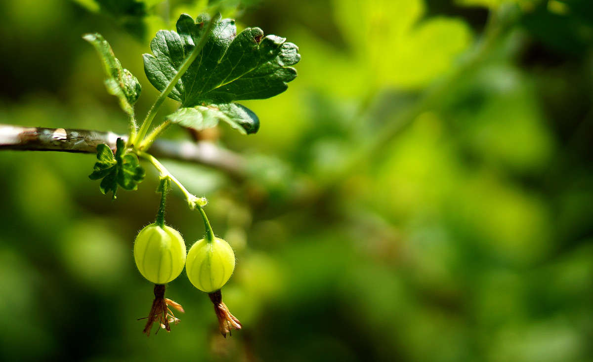 �� ������ �������� ������ ����� �������  �� PhotoGeek.ru #������ ��� �������