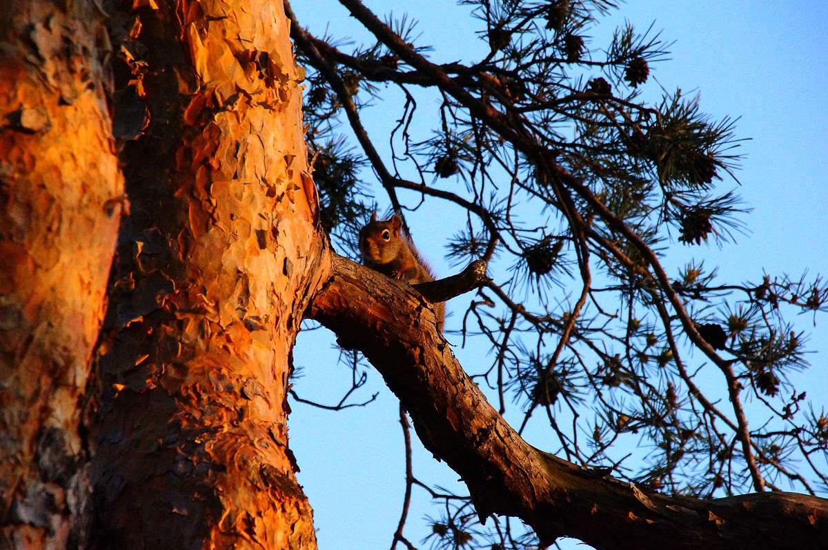 �� ������ ����� �������  �� PhotoGeek.ru #�������� ��� #������ ��� �������